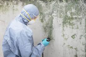 Best Mold Prevention Services  in USA